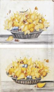 Still Life by Octavianus Montfort