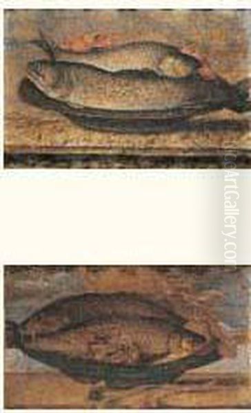 Natures Mortes Aux Carpes, Brochets Et Ecrevisses - view 1
