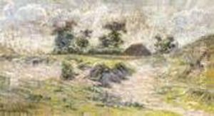 Zomerlandschap