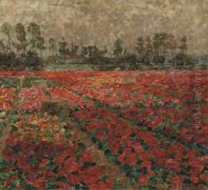 Champs De Fleurs, Deurle by Jenny Montigny