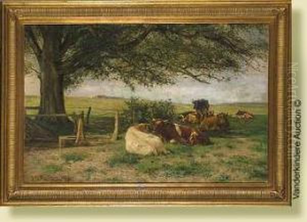 Vaches Couchees Au Pre - view 1