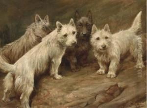 Four Cairn Terriers by Fannie Moody