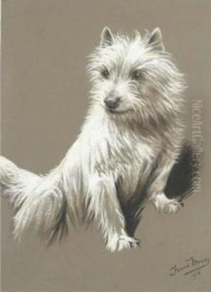 A Cairn Terrier - view 1