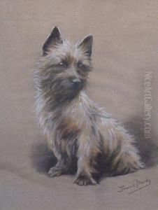 Cairn Terrier by Fannie Moody