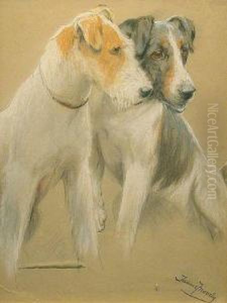 Two Fox Terriers - view 1