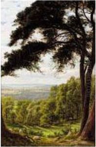 The Resting Shepherd