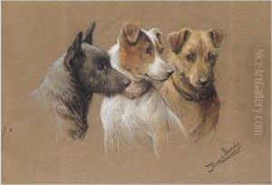 Three Jack Russells