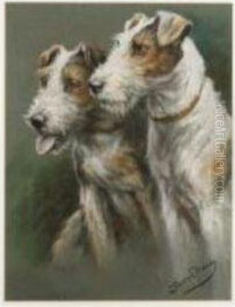 Wire Fox Terriers - view 1