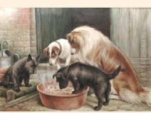 A Lesson In Patience by Fannie Moody