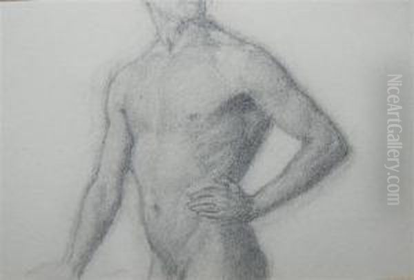 Male Torso - view 1