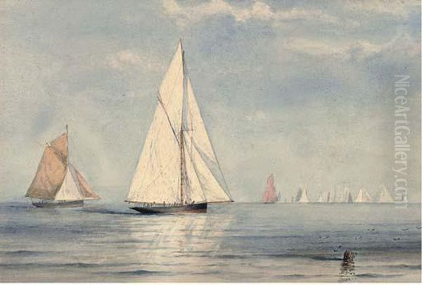 A Calm Day On The Water - view 1