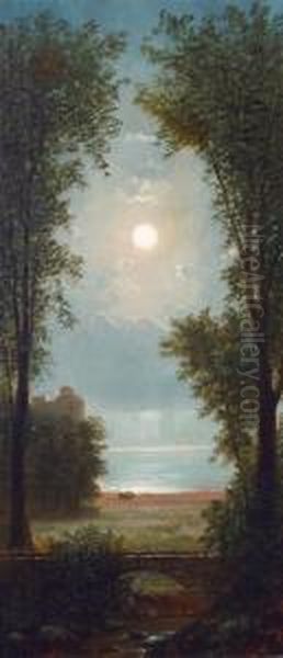 By The Light Of The Moon - view 1