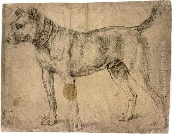 Study Of A Hound, In An Ornate Collar - view 1