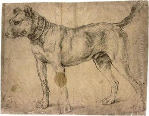 Study Of A Hound, In An Ornate Collar