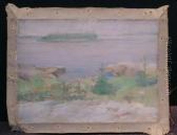 Island In A Lake - view 1