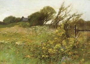 Wildflower Field In Bloom by Edward Percy Moran