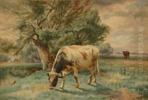 Cows Grazing In A Pasture by Peter Moran