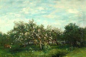 Apple Blossoms