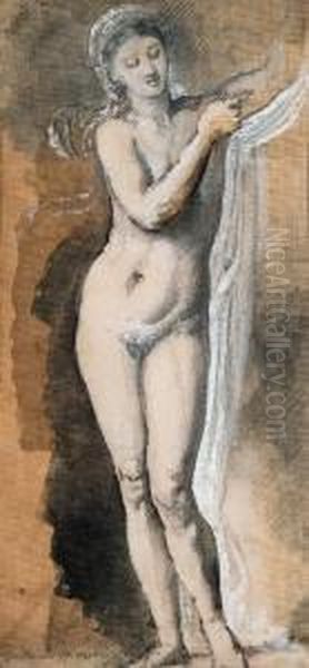 Femme Nue (tude Avec Drap) - view 1