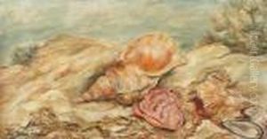 Nature Morte Aux Coquillages by Luc Albert Moreau
