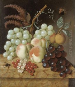 Still Life With Peaches,
Apricots, Grapes, Berries, A Fly And A Butterfly On A Marble Ledge by Jan Evert Morel