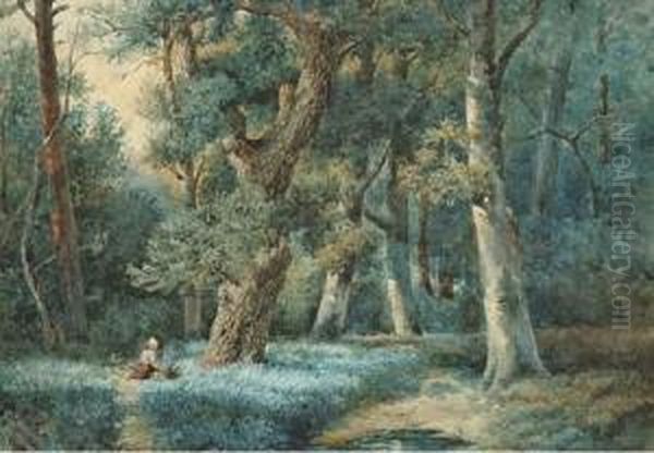 Gathering Wood In The Forest - view 1