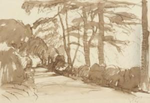 Paisaje