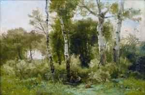 Sous-bois
