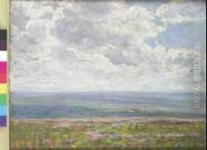 La Brughiera Dell'exmoor, Cornovaglia