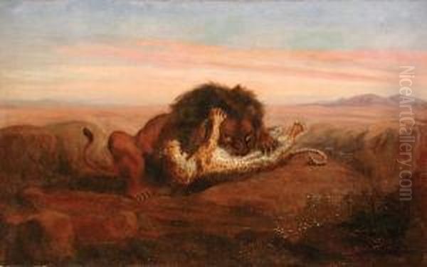 Il Leone
Assale Il Leopardo - view 1