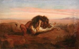 Il Leone
Assale Il Leopardo by Mario Moretti Foggia