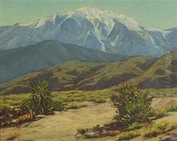 Southwest Landscape - view 1