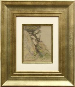 Tree On A Rocky Outcrop by Mary Deneale Morgan