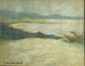 Monastery Beach Looking Towards Point Lobos by Mary Deneale Morgan