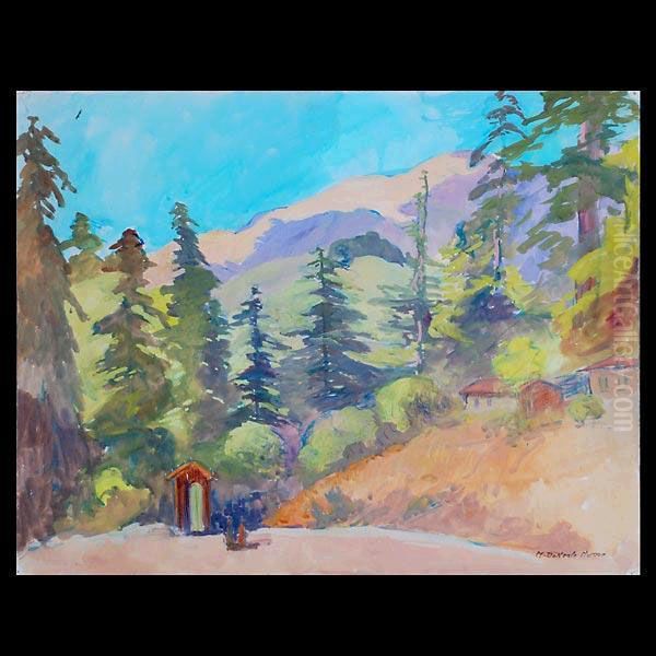 Redwood Grove Near Post Ranch - view 1