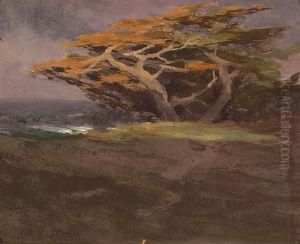 Windswept Monterey Cypress by Mary Deneale Morgan