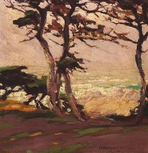 Cypress Near The Sea At Dusk Cypress Near The Sea At Dusk