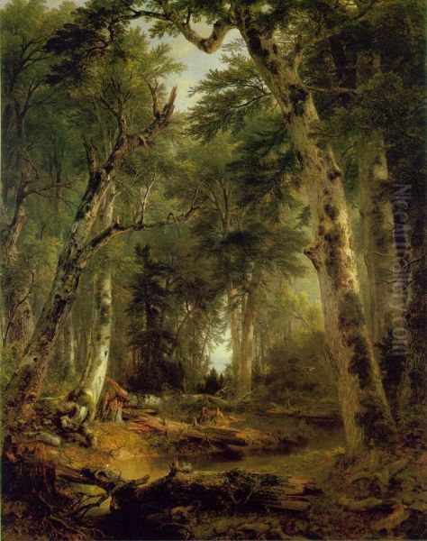 In the Woods - view 1