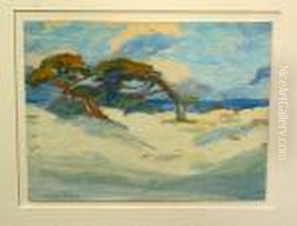 Cypress Trees Near Monterey - view 1