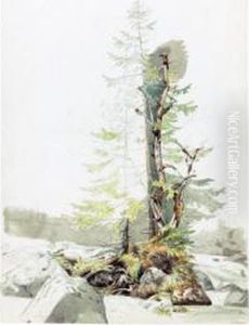 Study Of Trees And Rocks In Ramsau by Carl Morgenstern