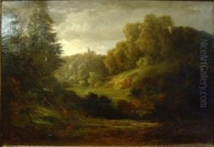 Waldlandschaftt Mit Fernsicht Auf Burg