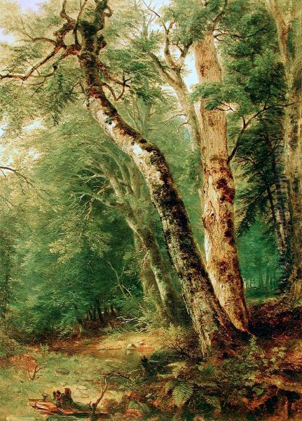 Woodland Interior - view 1