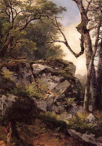 Woodland Scene - view 1