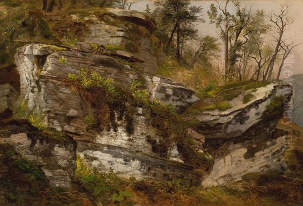 Rocky Cliff - view 1