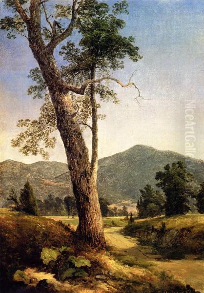 Landscape Beyond the Tree - view 1