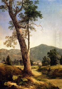 Landscape Beyond the Tree