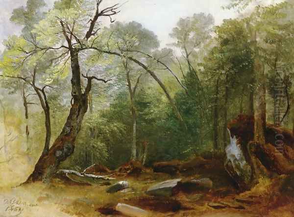 Study in the Woods - view 1