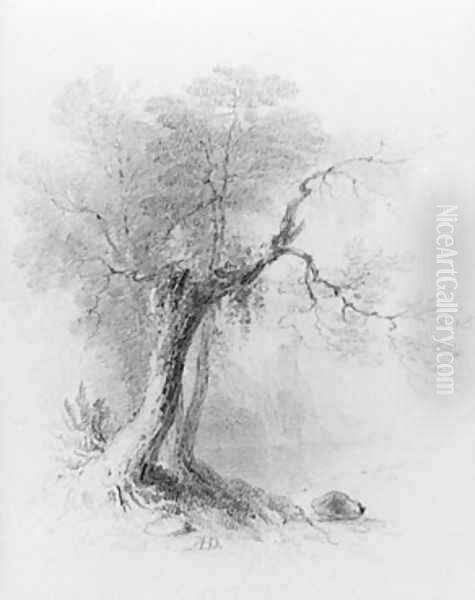 Landscape (from McGuire Scrapbook) - view 1