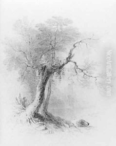 Landscape (from McGuire Scrapbook)