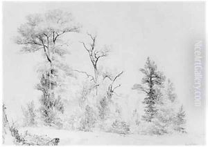 Three Trees, Hoboken